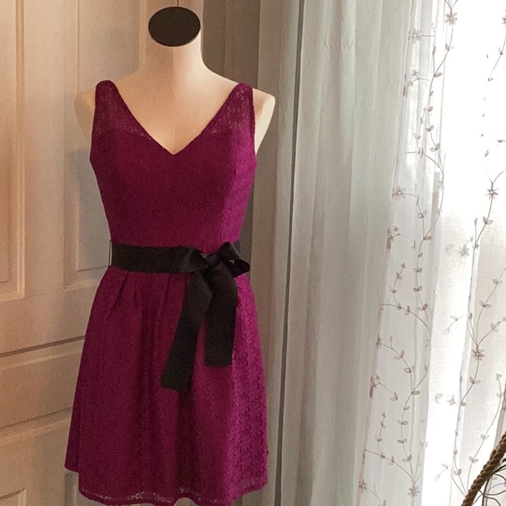 Purple Lace ‘Jasmine’ Fit & Flare Dress